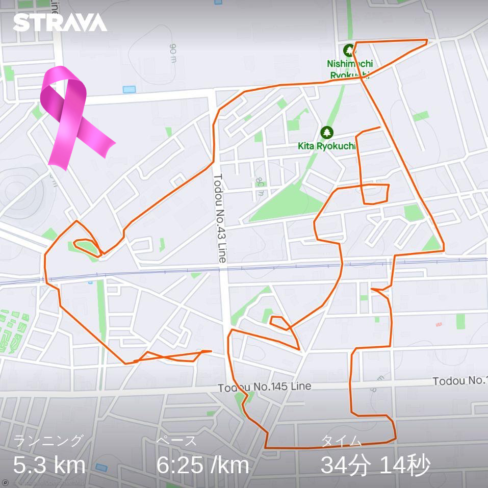 女性の横顔 Strava ART