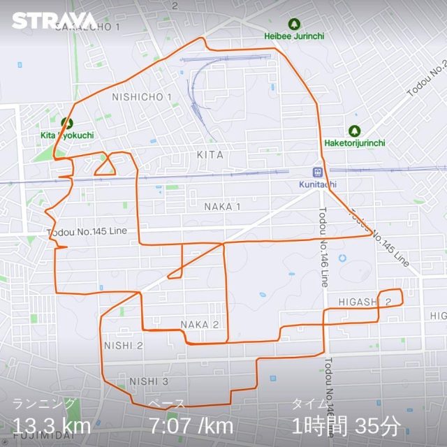 女性の横顔のstrava art